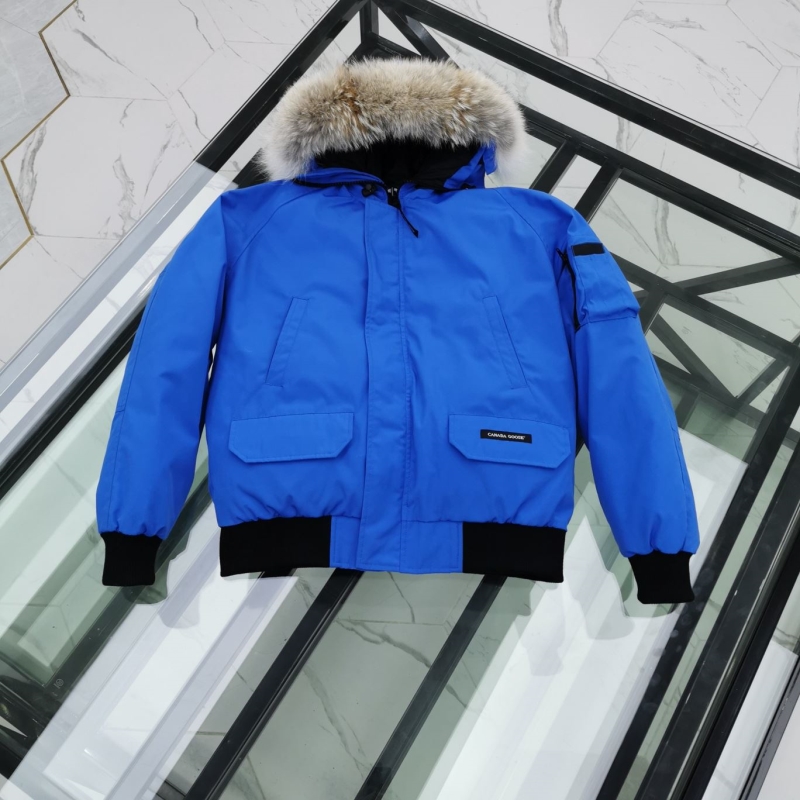 Moncler Down Coat